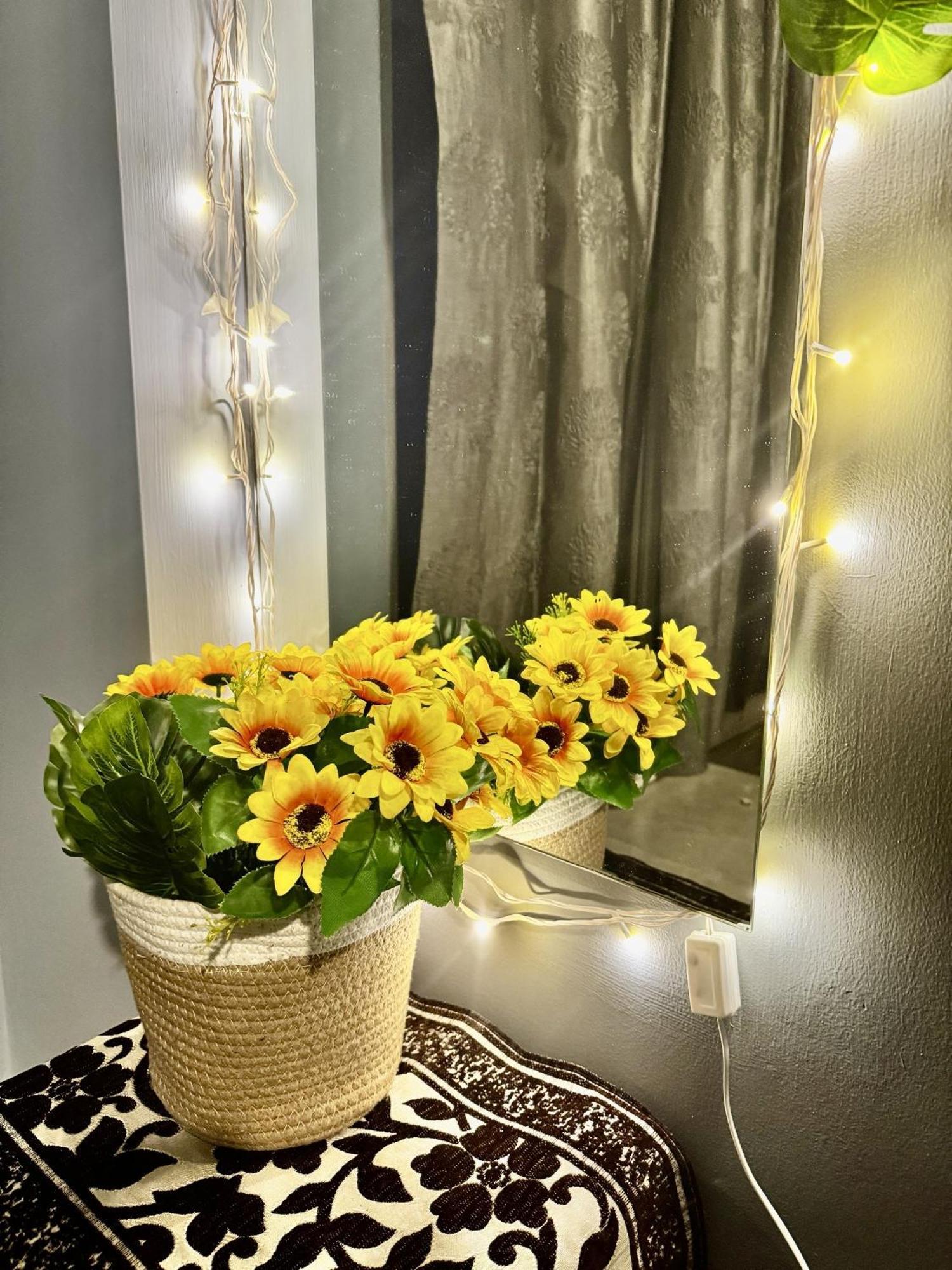 Sea Breeze 1 Bhk Apartment A12 Calangute,North Goa Nagoa المظهر الخارجي الصورة